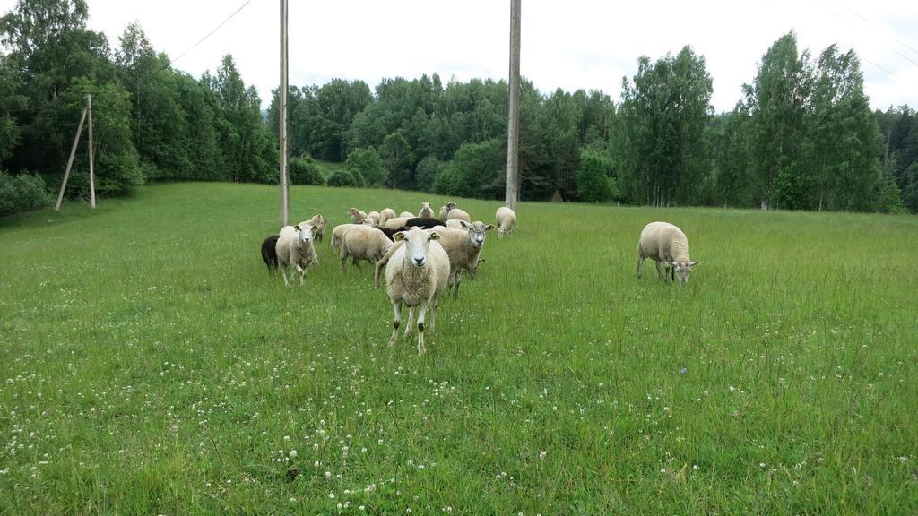Maee Farm Villa Rõuge Екстериор снимка